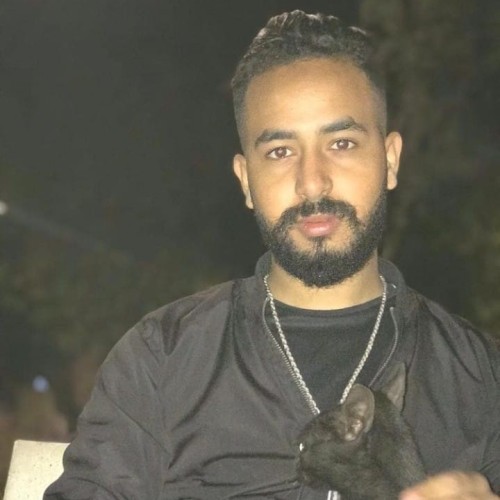 Mehdi B.