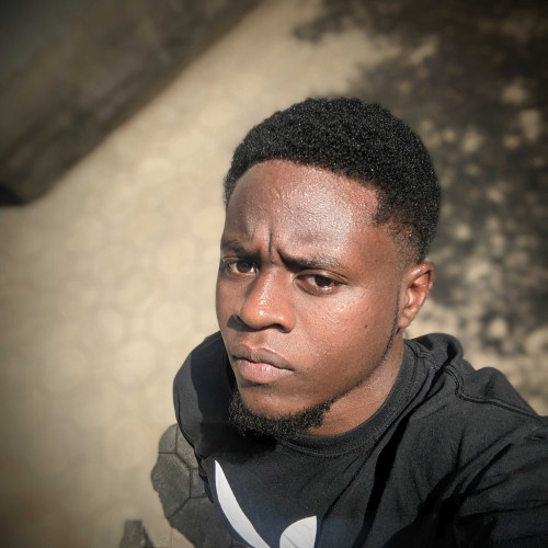 Devis M. profile photo