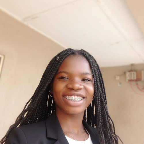 Abiodun V. profile photo