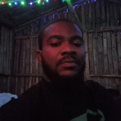Toni  M. profile photo