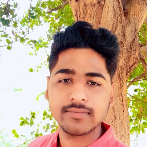Manas Raghuvanshi  M. profile photo