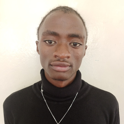 David  K. profile photo