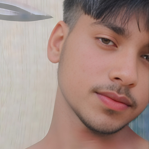 Vishal V. profile photo