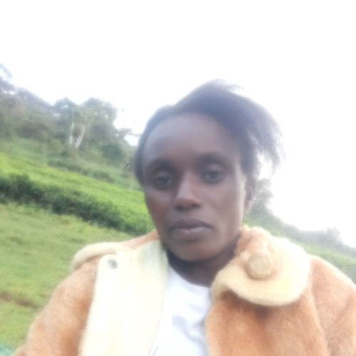 Ann  K. profile photo