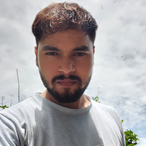 Ankur T.