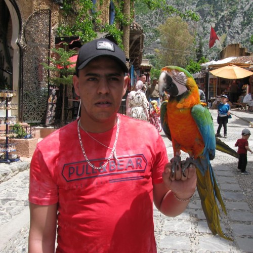 Soufiane  L. profile photo