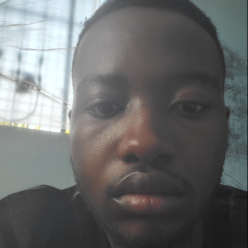 David  K. profile photo