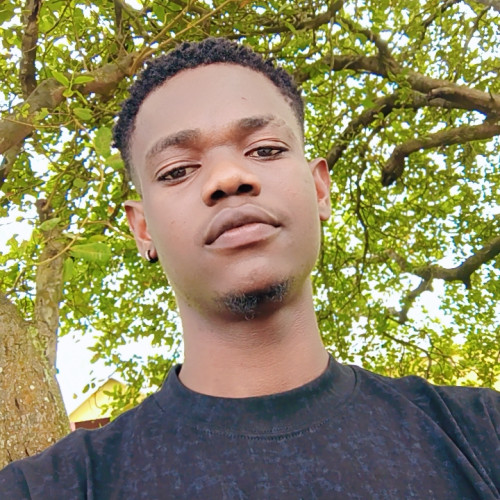 Chinaechetam  O. profile photo