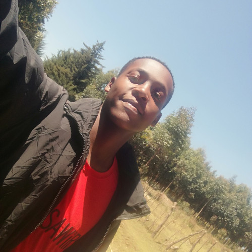 Nimrod K. profile photo