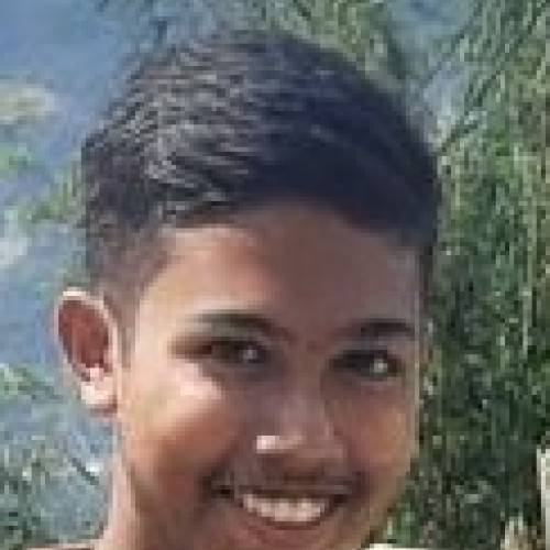 Nilanjan M. profile photo