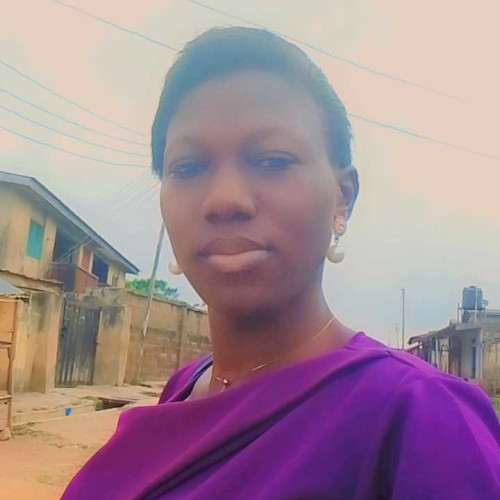 Oluwaseyi O. profile photo