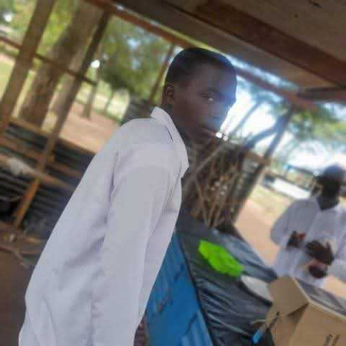 Wilson K. profile photo