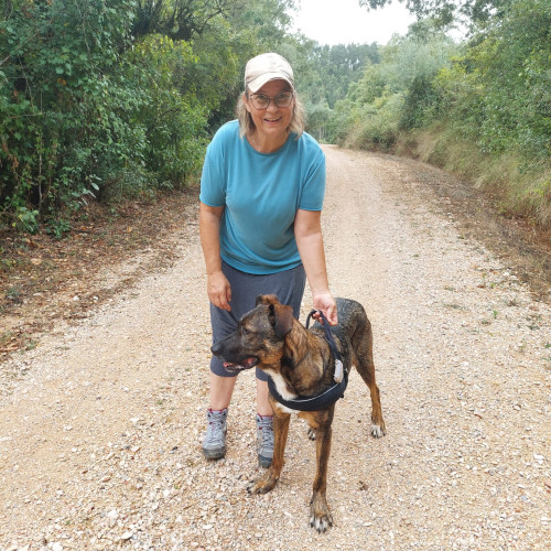 Liz S. profile photo