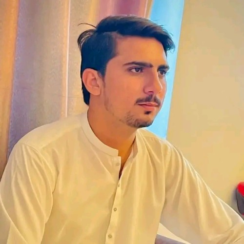 Muhammad Hasnain j.