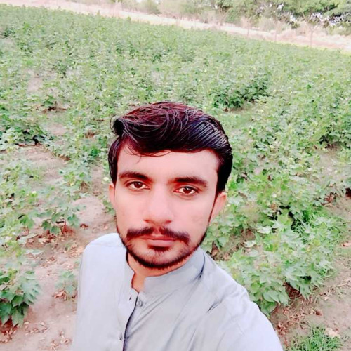 aamir a.