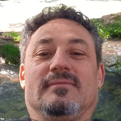 Nestor  F.