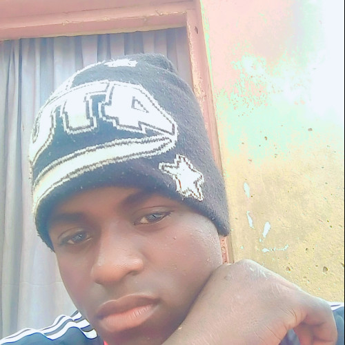 Diala M. profile photo