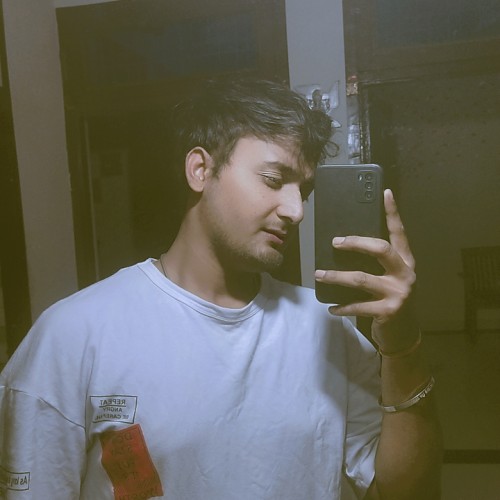 Lovelesh p. profile photo