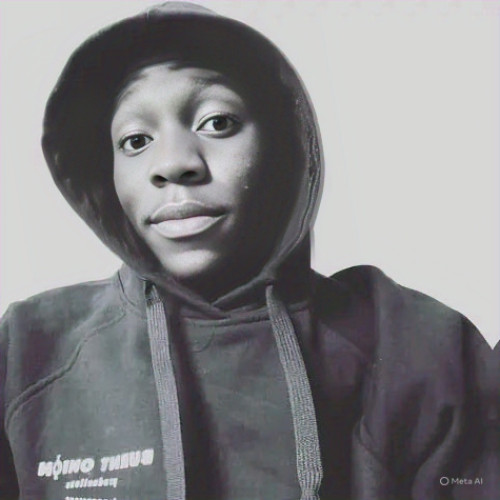 Sipho N. profile photo