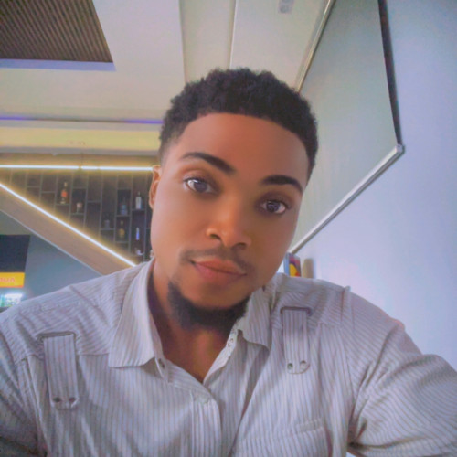 Oluwadamilola  A. profile photo