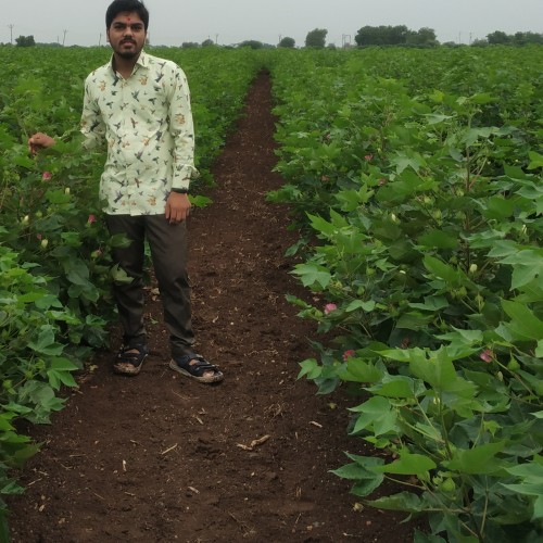 Akshay P.