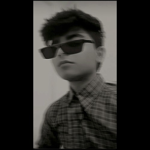 Aryan P.