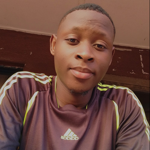 Ayobami  O. profile photo