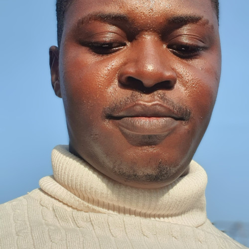 Chinecherem O. profile photo