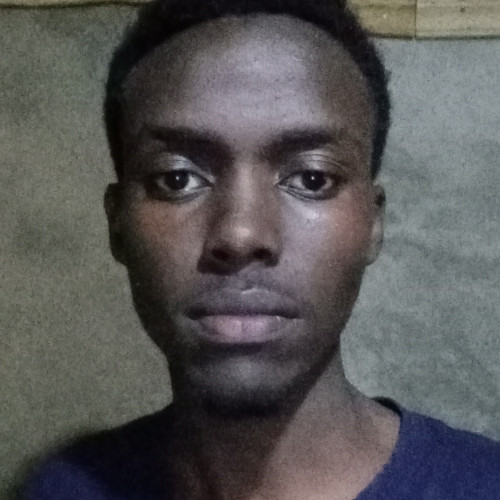 Newton M. profile photo