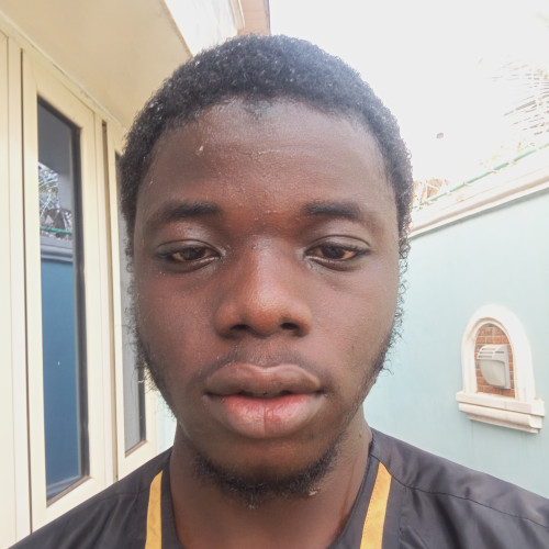 Adewale A. profile photo