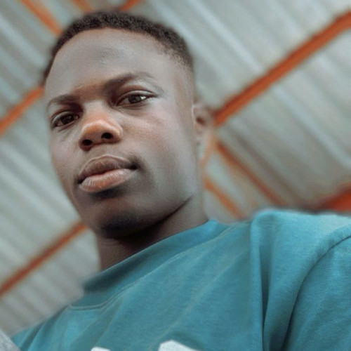 Akinbami  B. profile photo