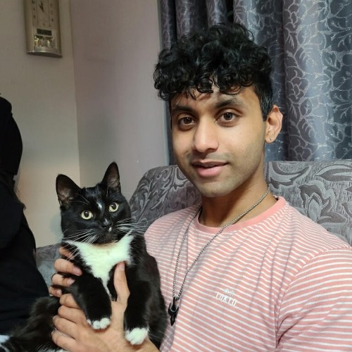 shahzaib k. profile photo