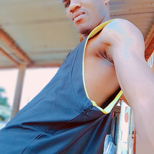 Raphël  B. profile photo