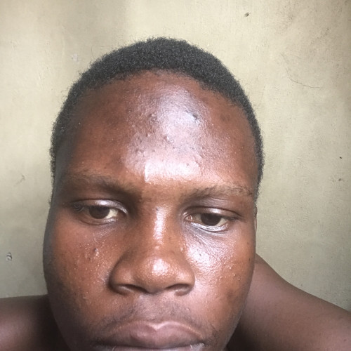 David A. profile photo