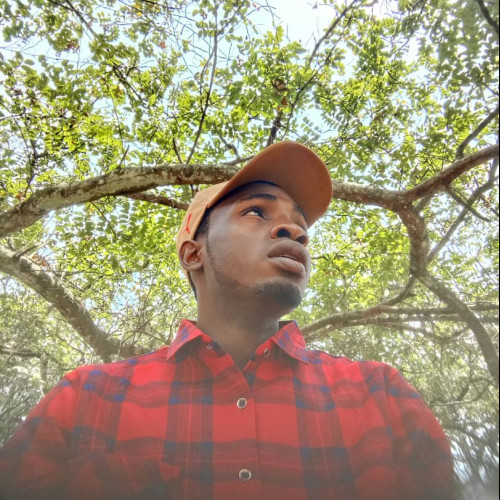 Fisayo O.