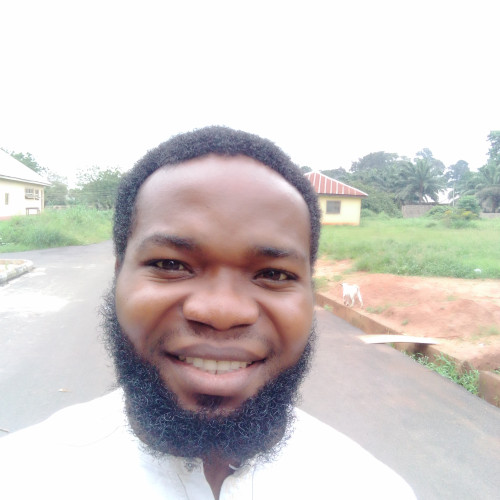 CHIKWENDU  F. profile photo