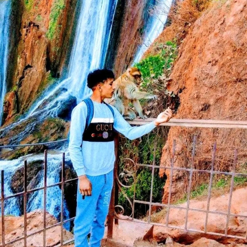 Mohmad M. profile photo