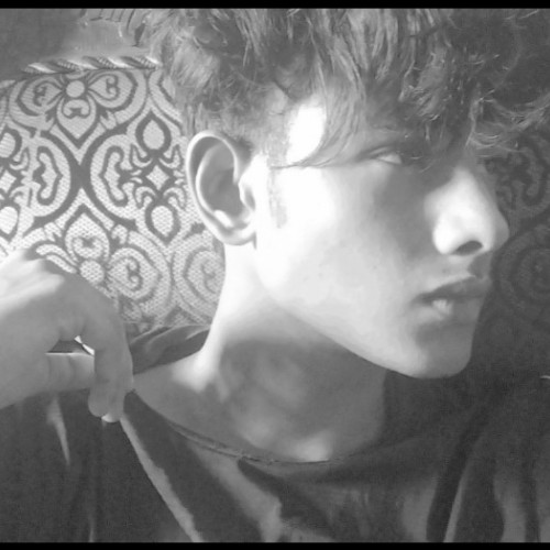 Aryan S.