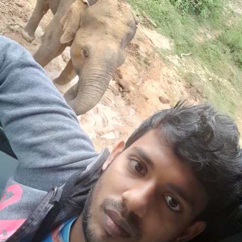 Chamara  M.