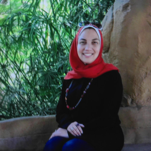 Angi S. profile photo