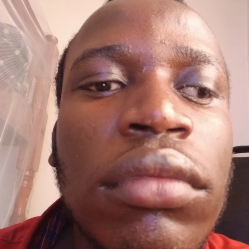 David O. profile photo