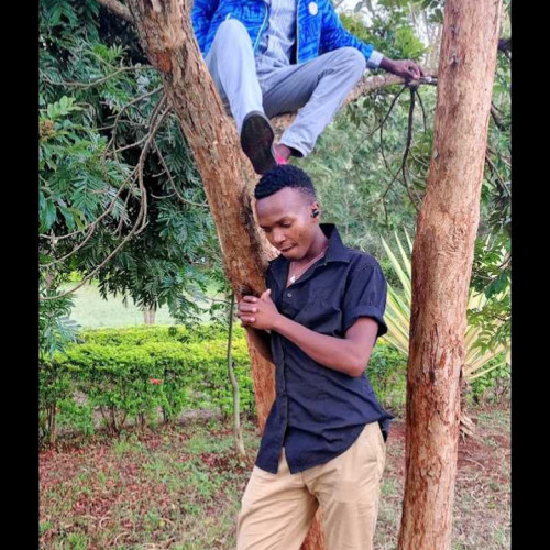 Hillary N. profile photo