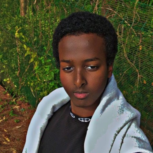 abdirahman a.