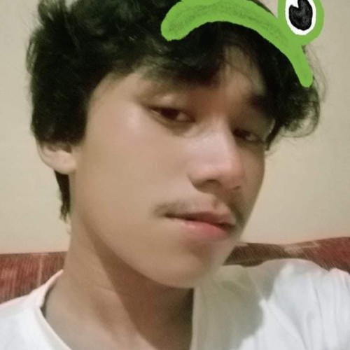 Stephen C. profile photo