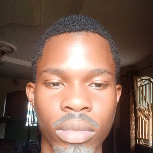 David M. profile photo