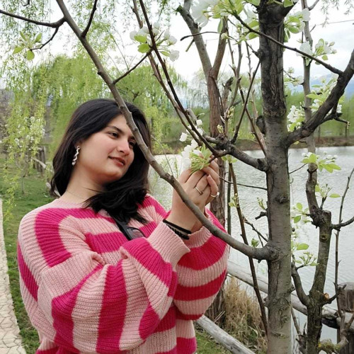 Khwaish D. profile photo