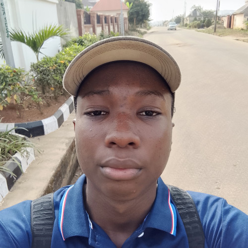 Olanipekun V. profile photo