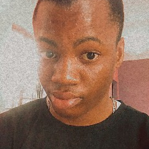 princewill b. profile photo