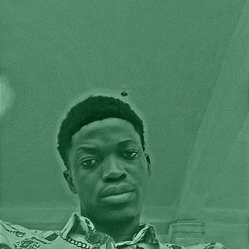 Damilare O.