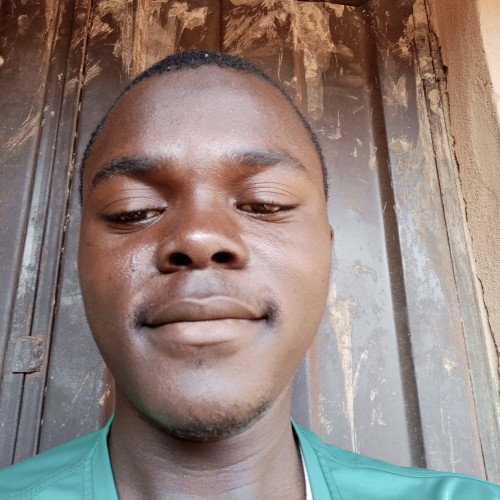 Tolha M. profile photo